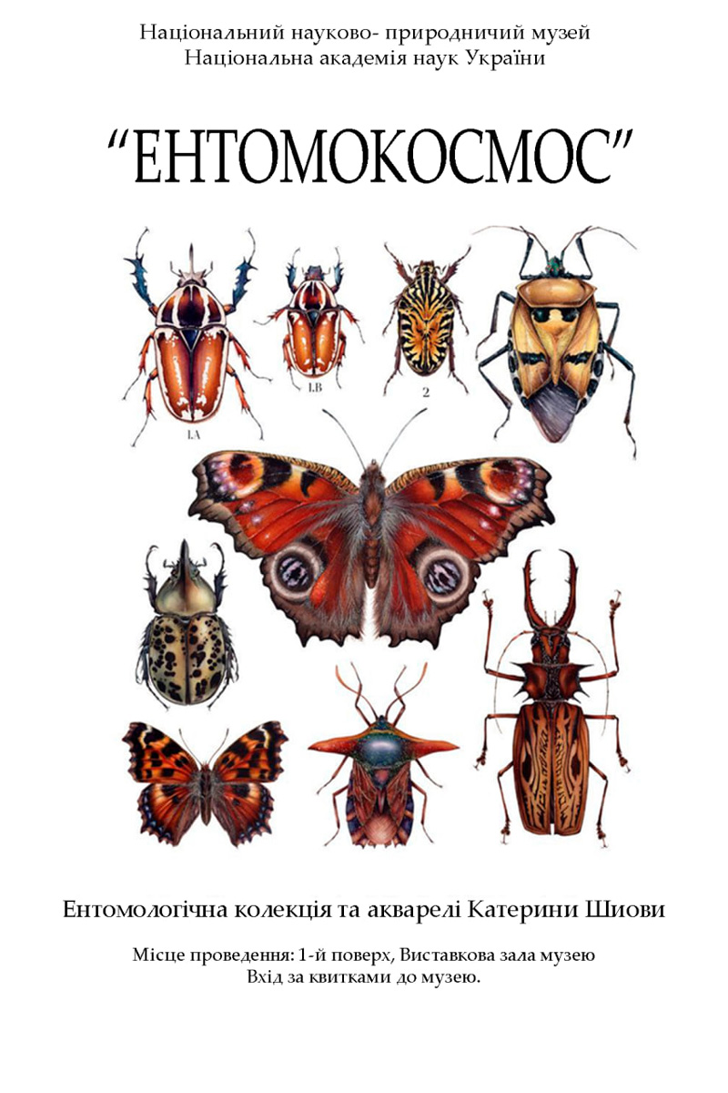 ЕНТОМОКОСМОС: МІЖ МІКРОСКОПОМ ТА АКВАРЕЛЛЮ