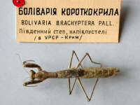 велике фото