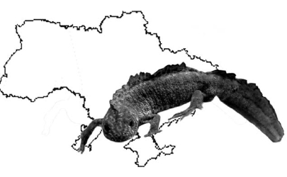 тритон
